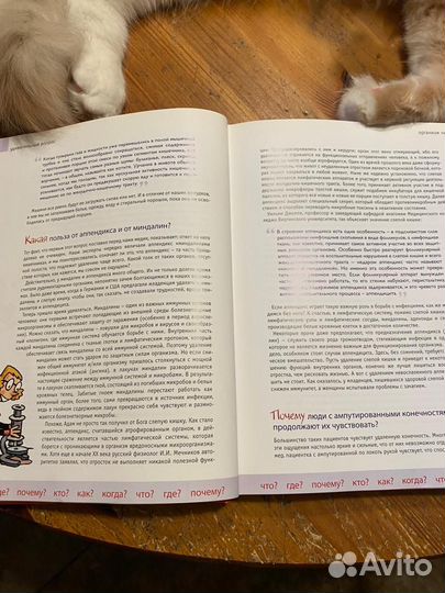 Удивительный вопрос Ридерз Дайджест