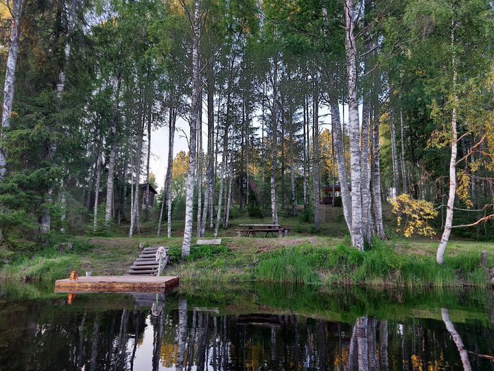 Дом 100 м² на участке 30 сот.