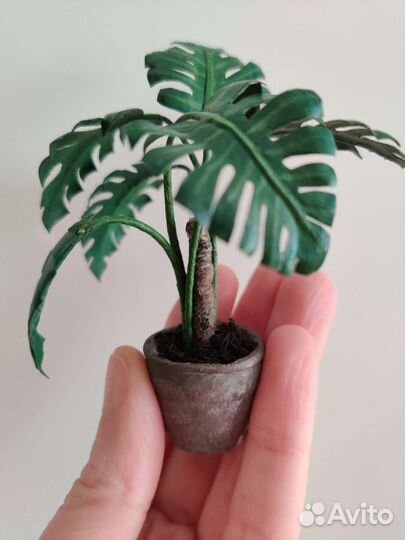 Монстера, миниатюра 1:12