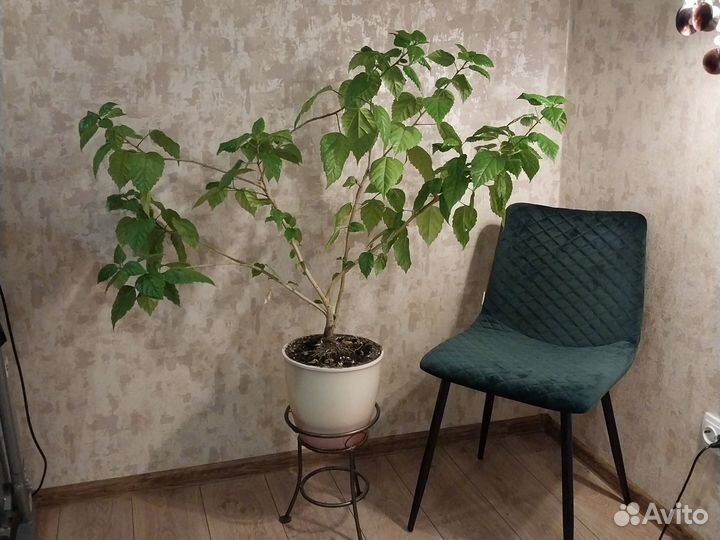 Роза+подставка