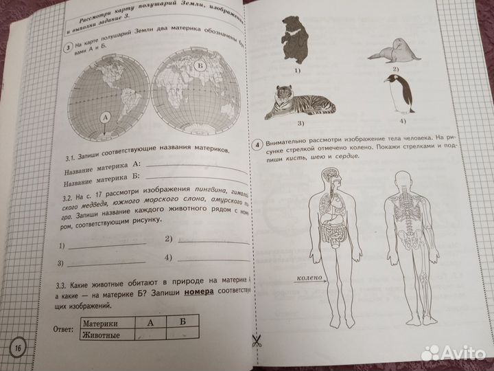 ВПР по окружающему миру 4 класс