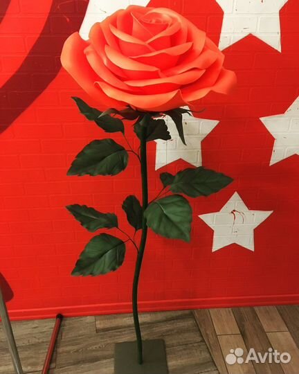 Ростовые цветы