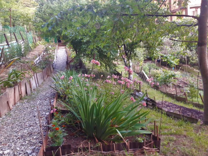 Участок 7,6 сот. (СНТ, ДНП)