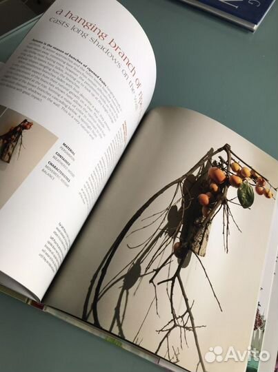 Подарочная Книг из Японии.Икебана