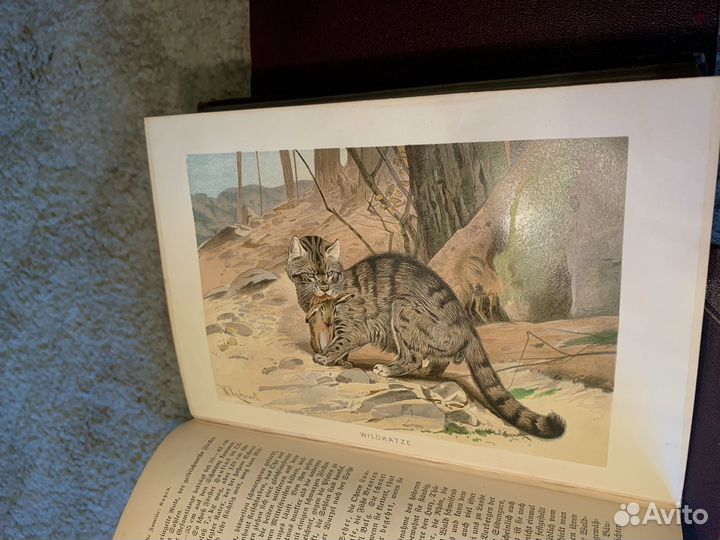 Антикварные книги