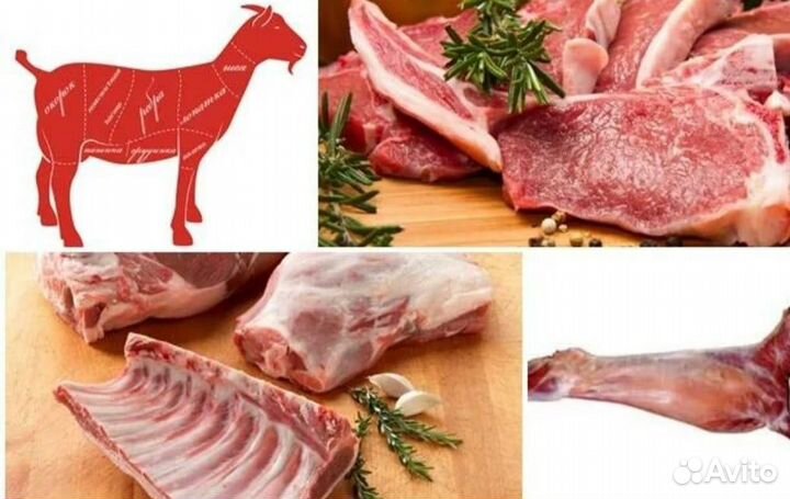 Мясо козлятина