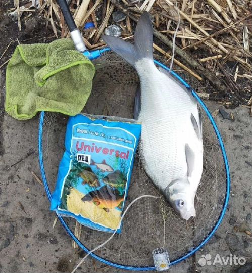 Прикормка для рыбалки