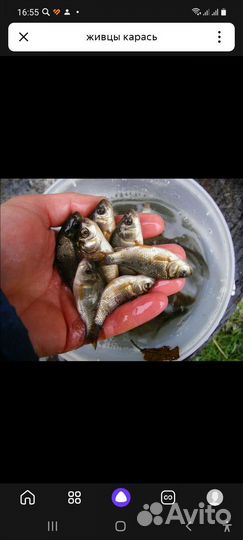 Зимняя рыбалка