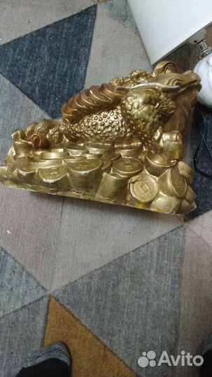 Денежная жаба большая