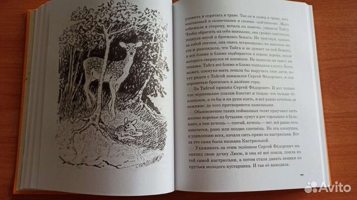 Золотой луг М.Пришвин