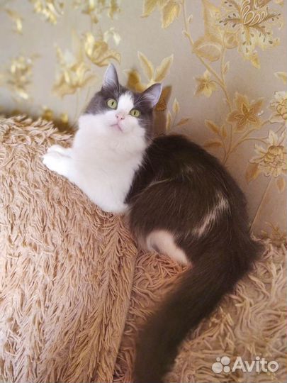 Лучшая обнимашка