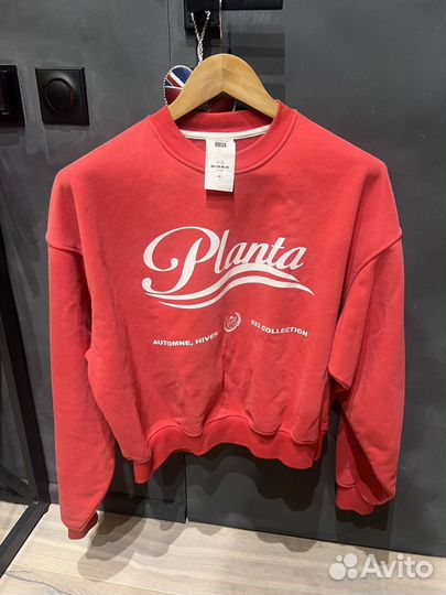 Свитшот planta rosa M