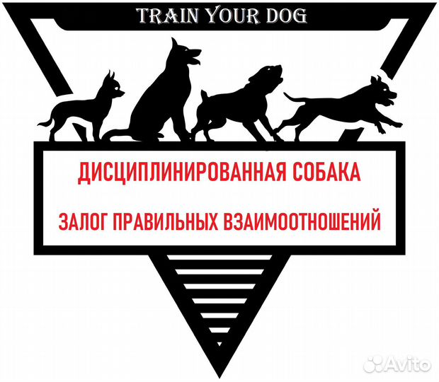 Дрессировка собак