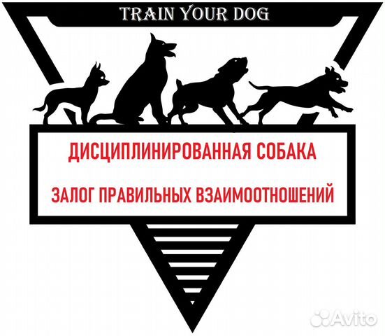 Дрессировка собак