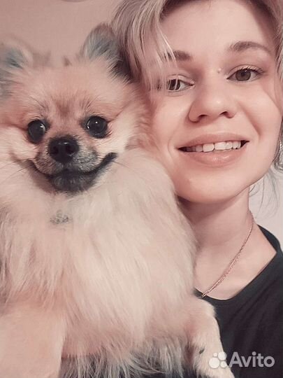 Передержка собак