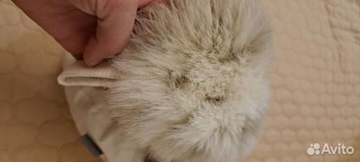 Шапка ушанка huppa