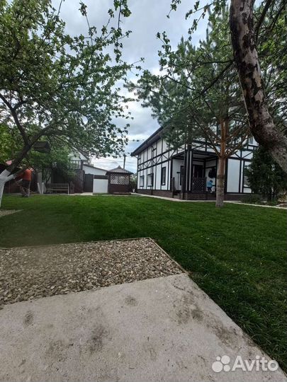 Рулонный газон