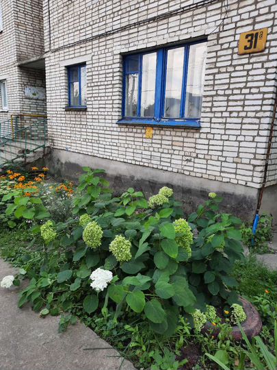 2-к. квартира, 44,4 м², 1/4 эт.
