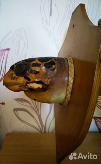 Голова черепахи (чучело)