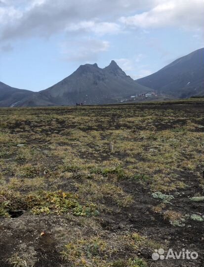 Вулкан Авача гора Верблюд тур экскурсия