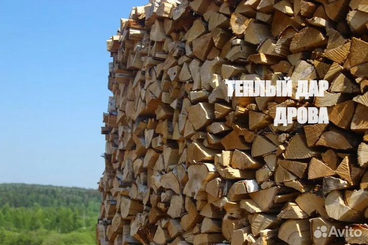 Дрова сухие