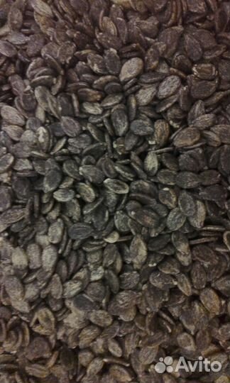 Семена Арбуза и Дыни