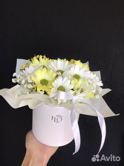 Ромашки Цветы Доставка