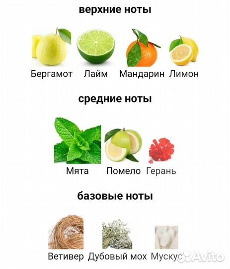 N8 Tonic Vert Thomas Kosmala оригинал парфюм