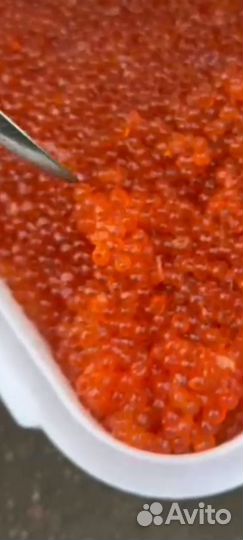 Икра красная горбуша кета нерка киж доставка по РФ