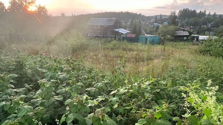 Участок 9,4 сот. (СНТ, ДНП)