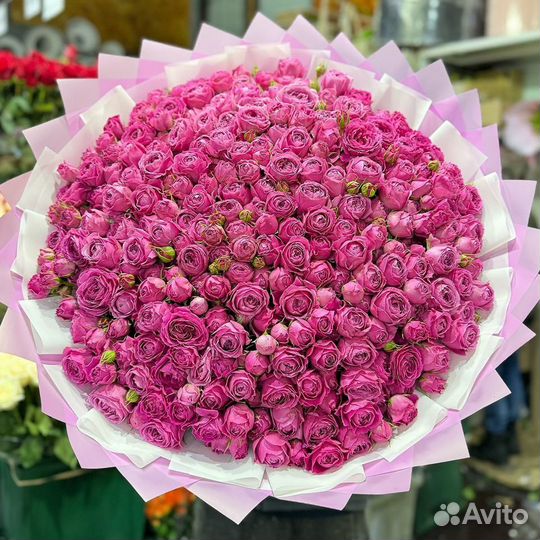 Голландский пионы/ Пионы,Пионовидные кустовые розы