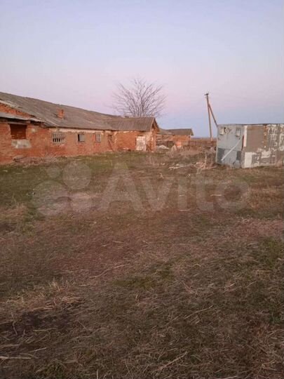 Участок 12 сот. (СНТ, ДНП)