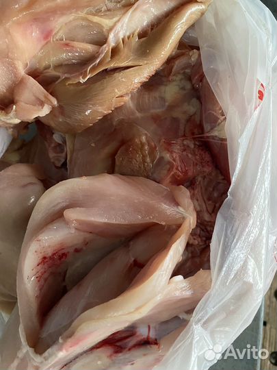 Продаются мясные куриные отходы для животных