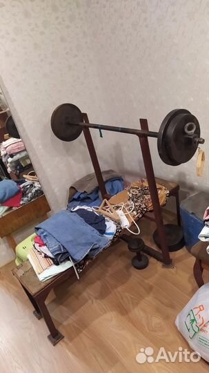 Скамья для жима с грифом и блинами