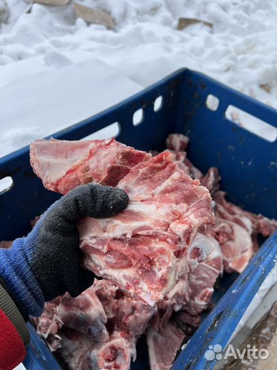 Мясо свинина кости