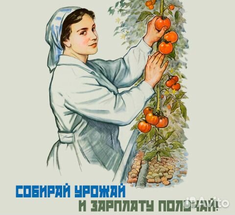 Бригада на теплицы