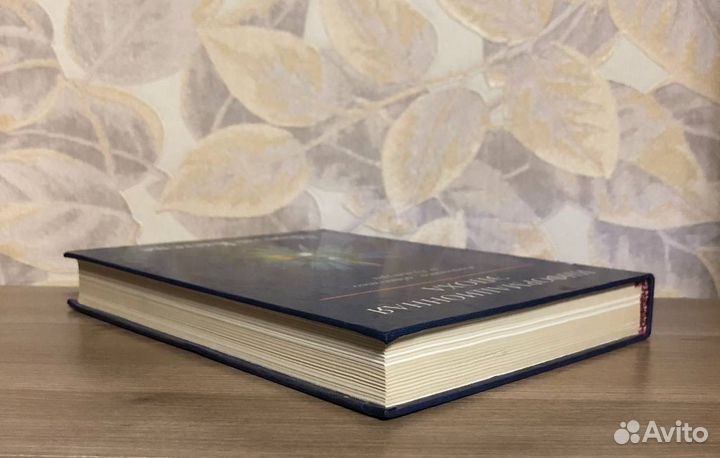 Мануэль Кастельс. Информационная эпоха