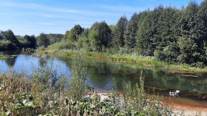 Участок 3,8 га (СНТ, ДНП)