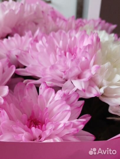 Букет хризантем в упаковке