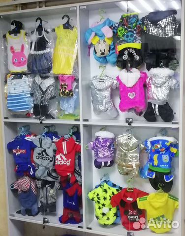 Одежда для собак мелких и средних пород новая