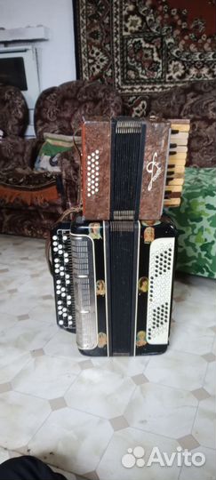 Баян Мелодия кировский