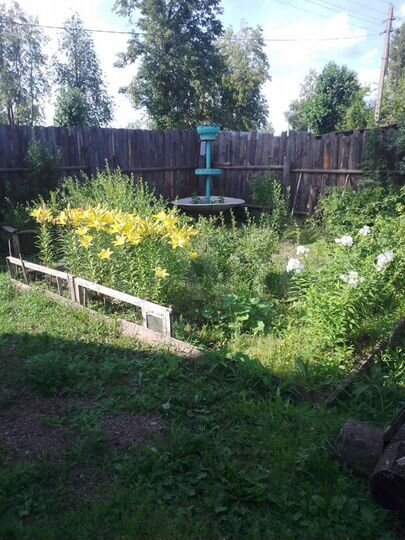 Дом 31,1 м² на участке 9 сот.