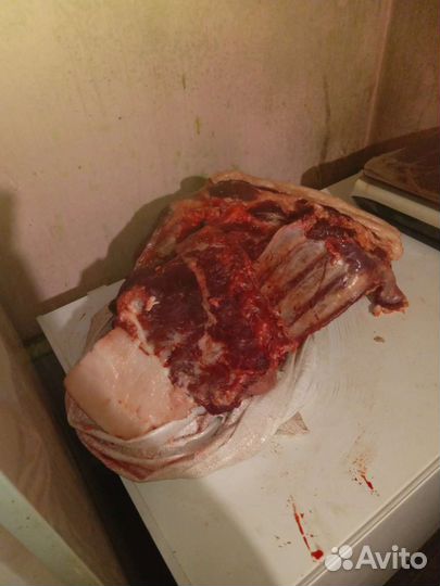 Мясо свинина