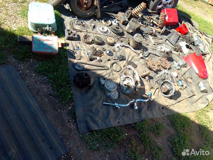 На мотороллер муравей