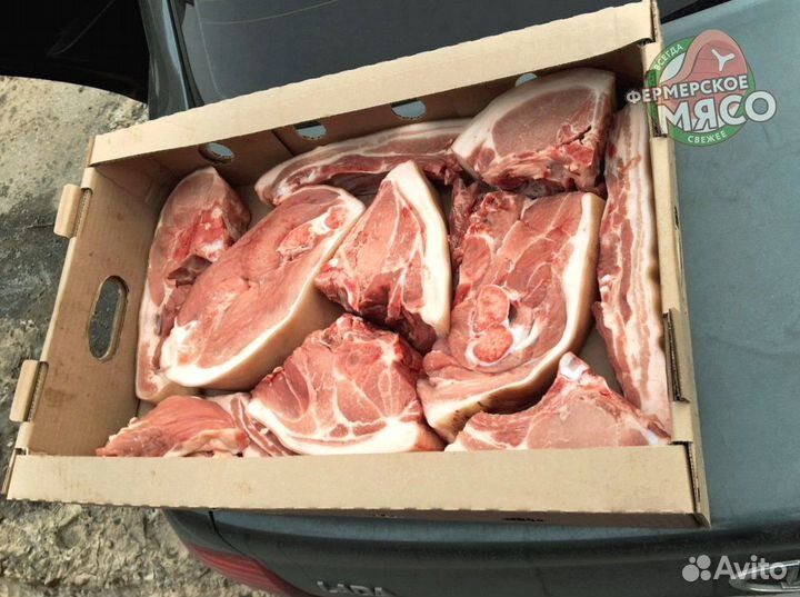 Мясо свинина