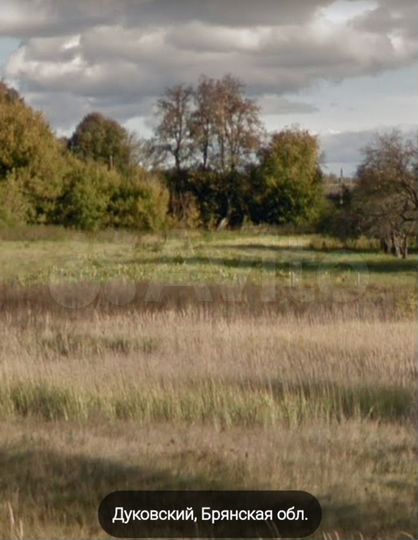 Участок 40 сот. (СНТ, ДНП)