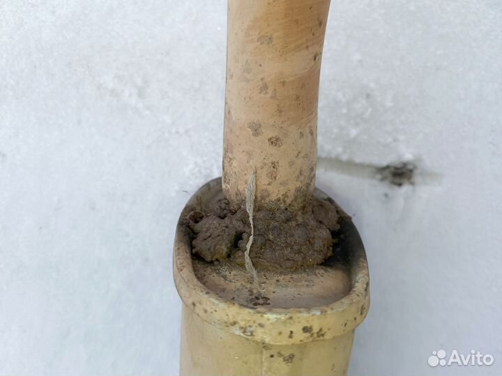 Глушитель (средняя часть ) Peugeot 307