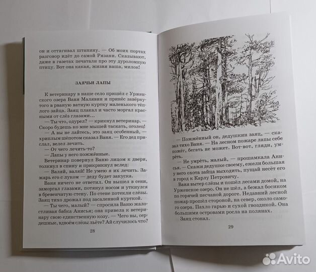 Книга Паустовский Рассказы и Сказки 