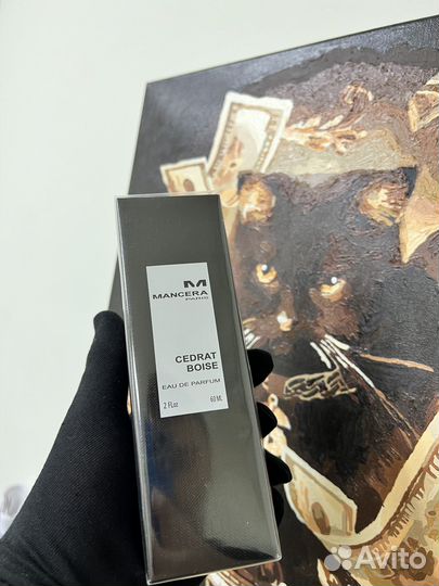 Cedrat Boise Mancera