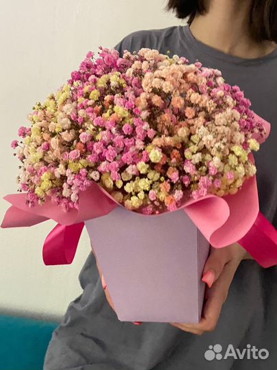 Гипсофила в коробке